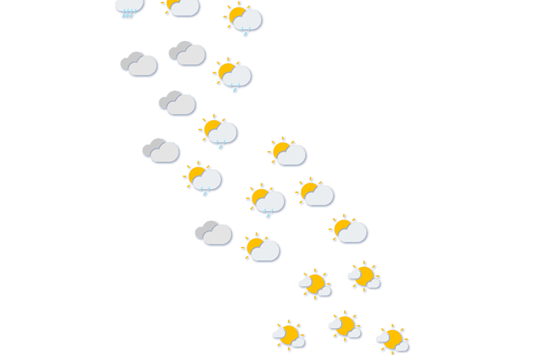 Forecast