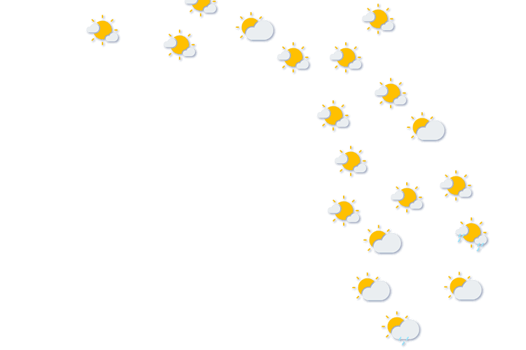 Forecast