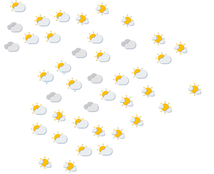 Forecast