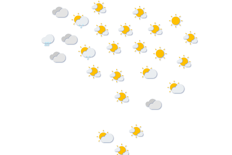 Forecast