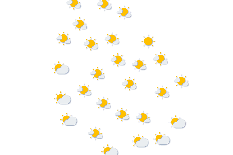 Forecast