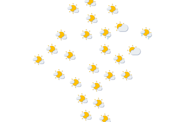 Forecast