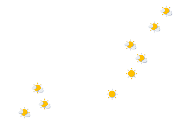 Forecast
