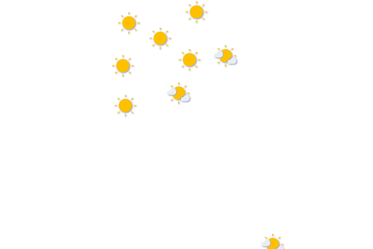 Forecast