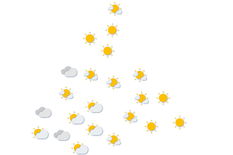 Forecast