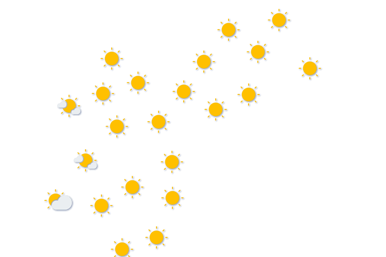 Forecast
