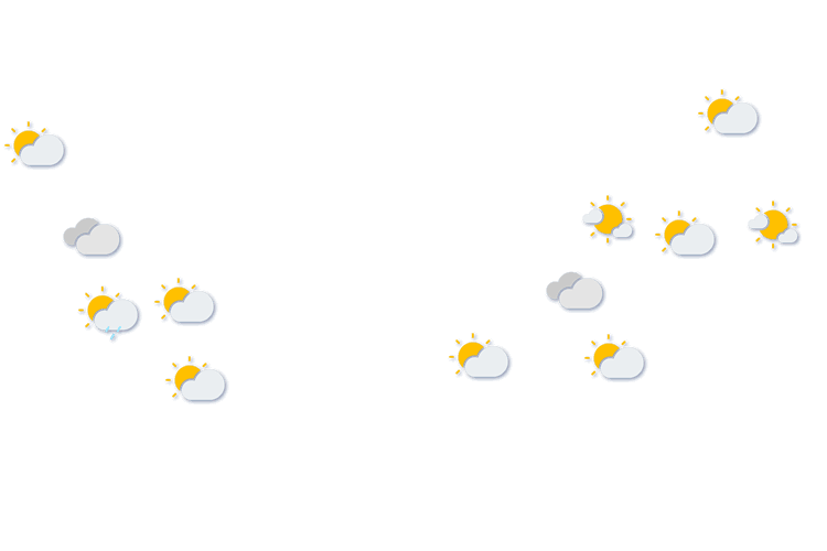 Forecast