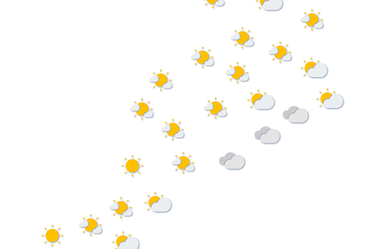 Forecast