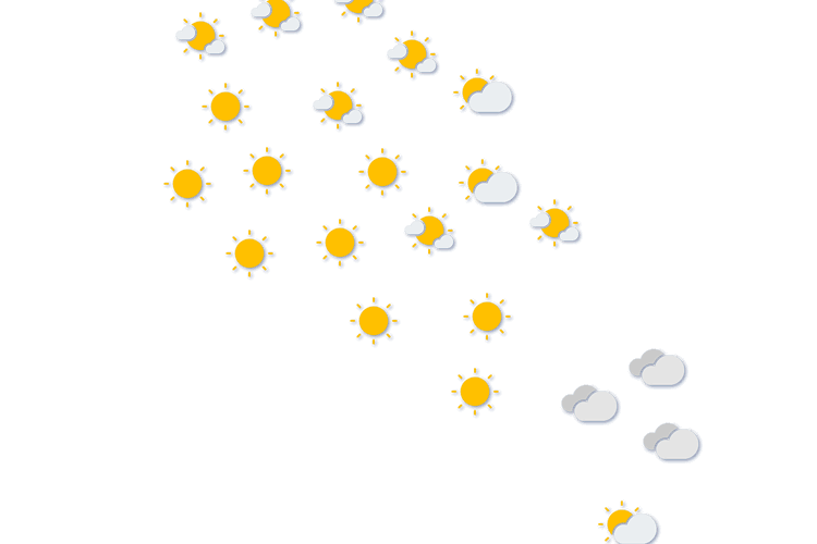 Forecast