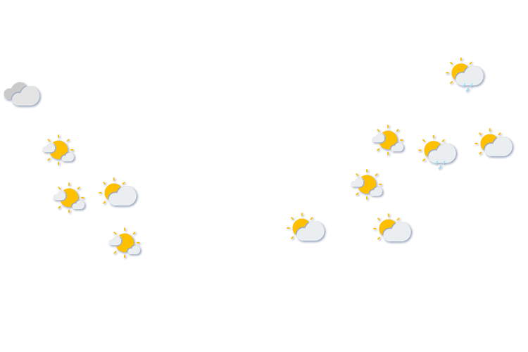 Forecast