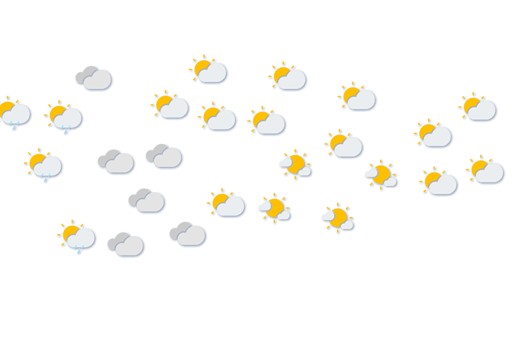 Forecast