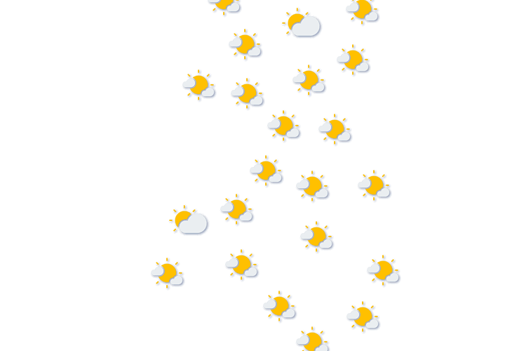 Forecast