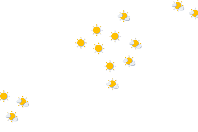 Forecast