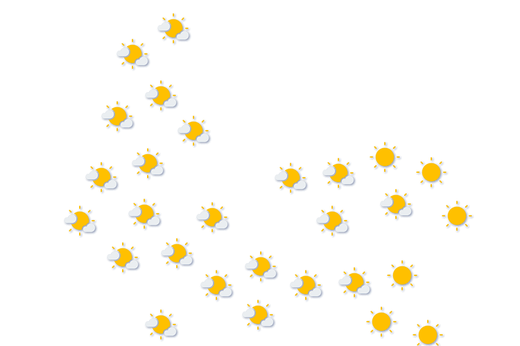 Forecast