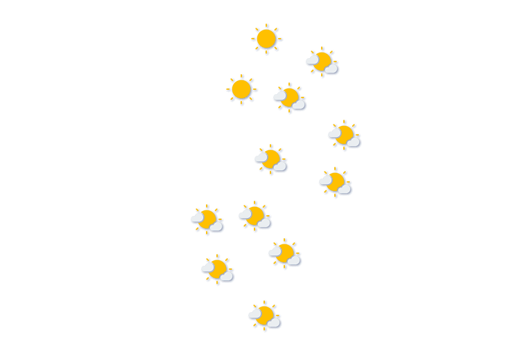 Forecast