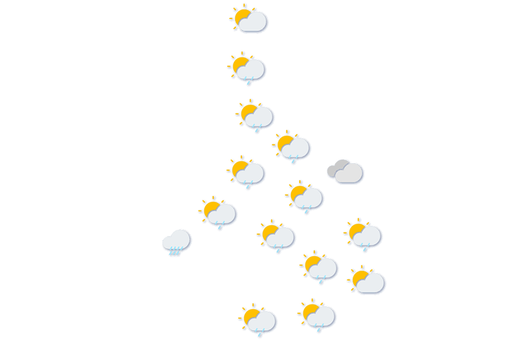 Forecast
