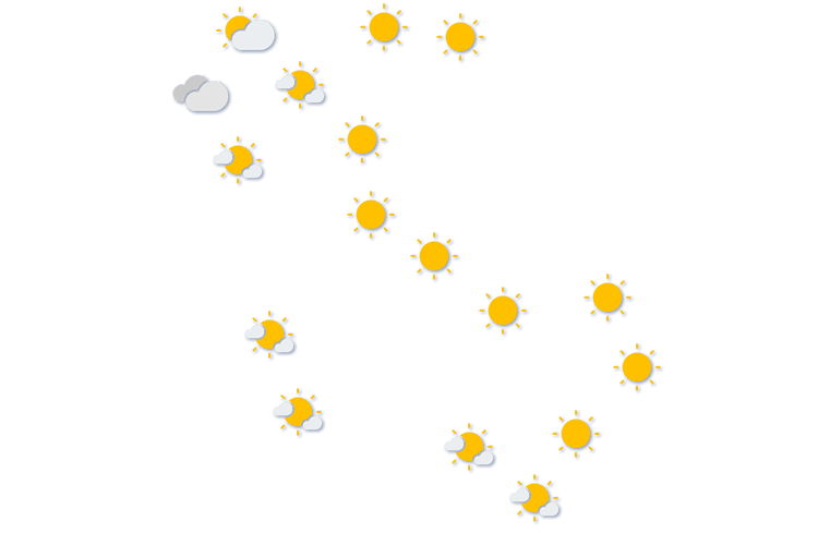 Forecast