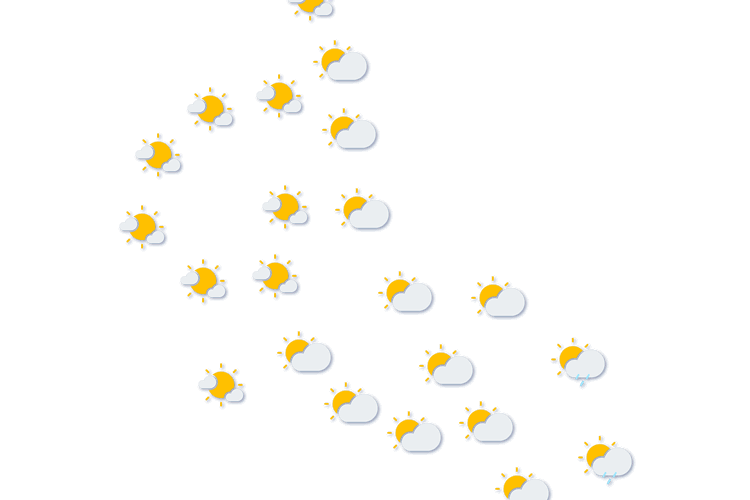 Forecast