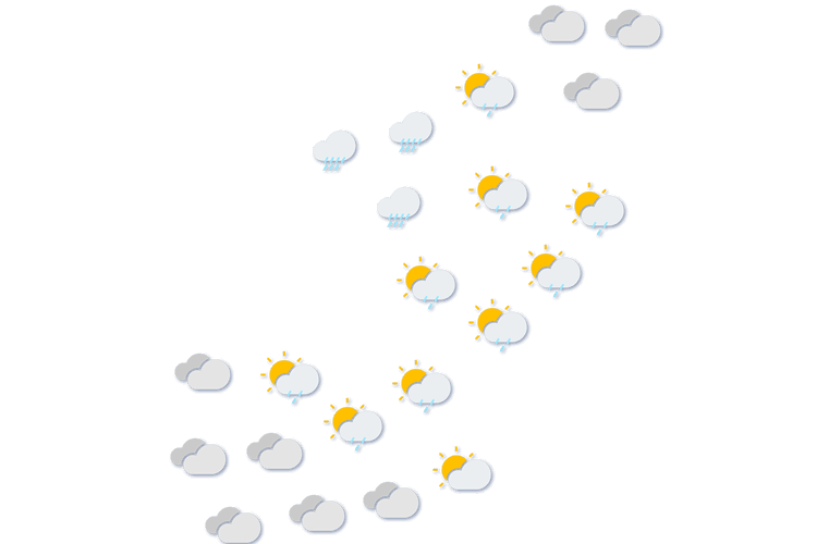 Forecast
