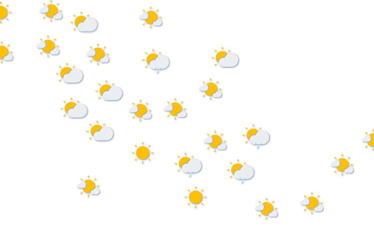 Forecast