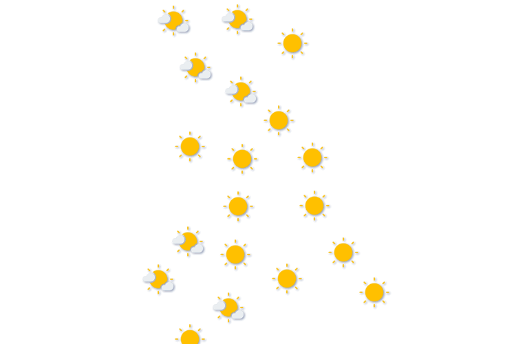 Forecast