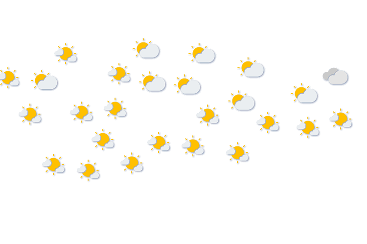 Forecast