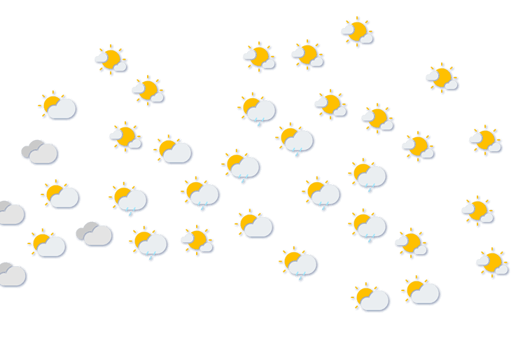 Forecast