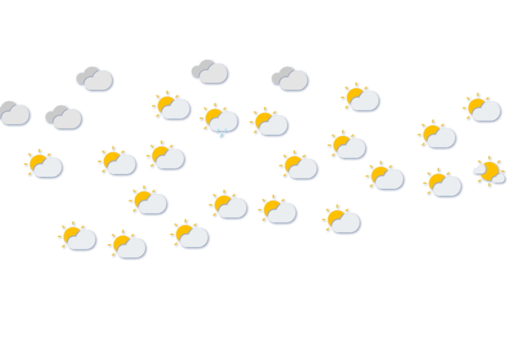 Forecast