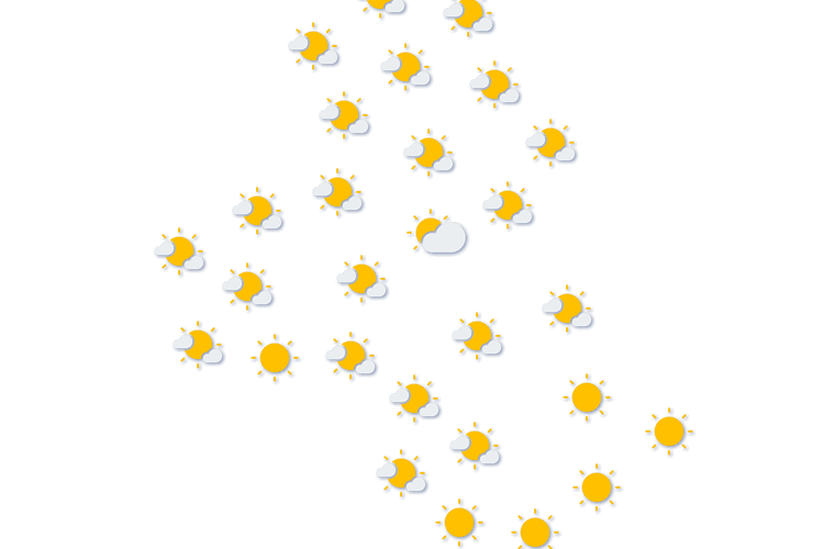 Forecast