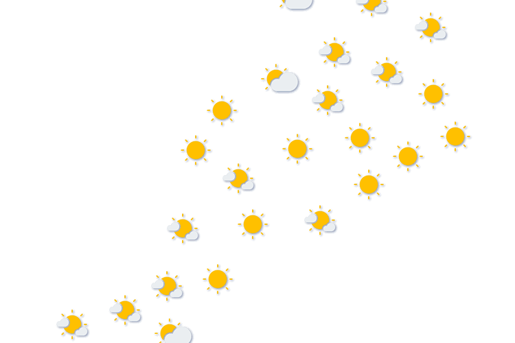 Forecast
