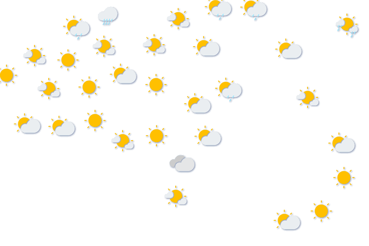 Forecast