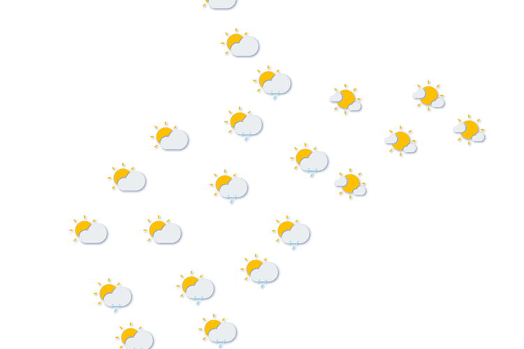Forecast