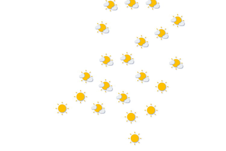 Forecast