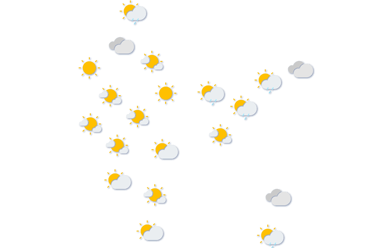 Forecast