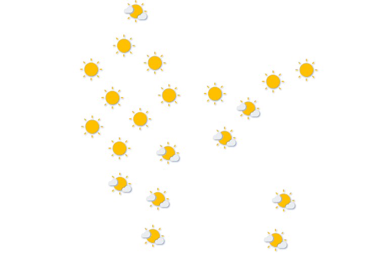 Forecast