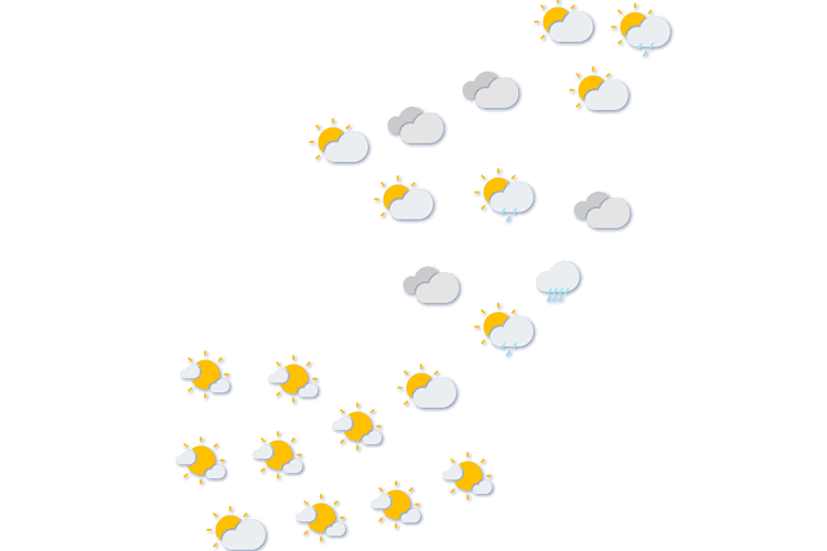 Forecast
