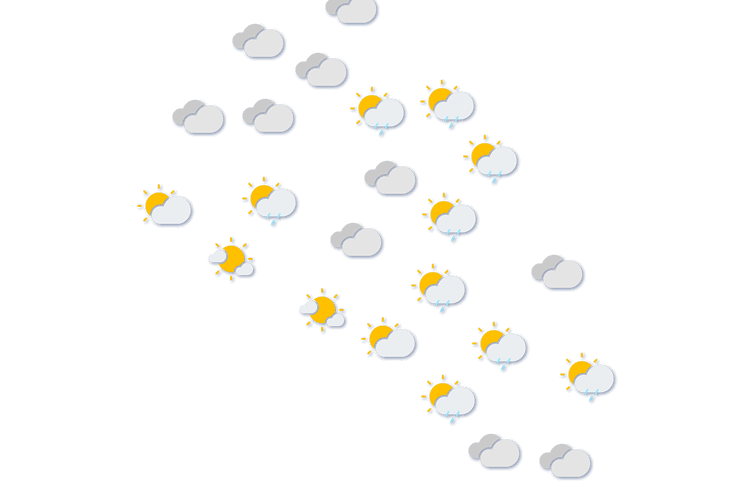 Forecast