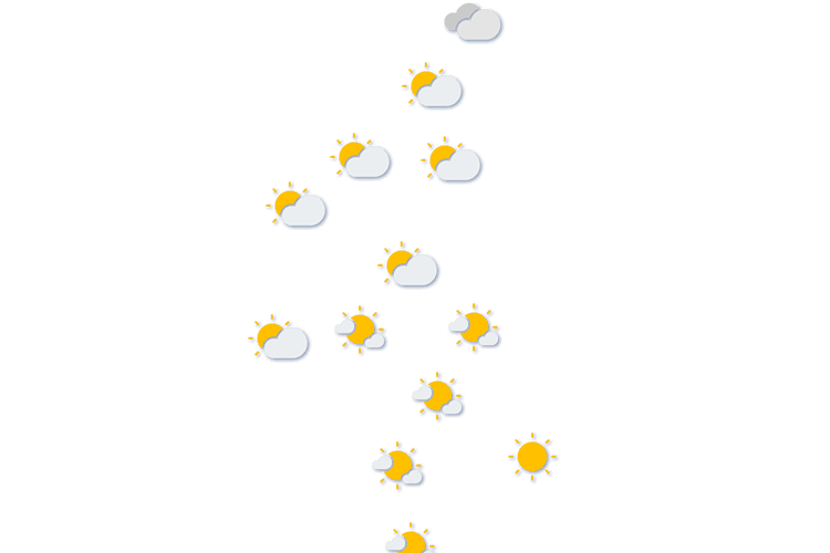 Forecast