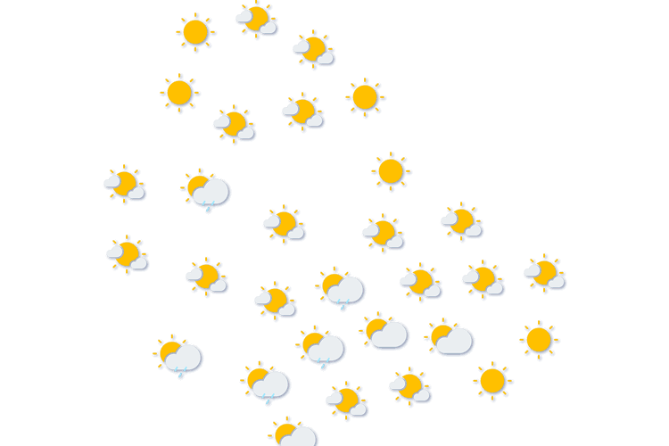 Forecast