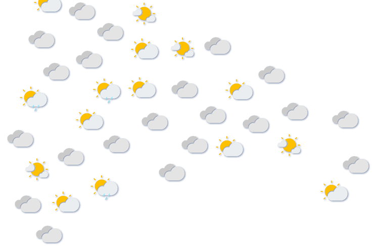 Forecast