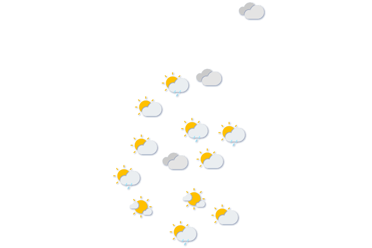 Forecast