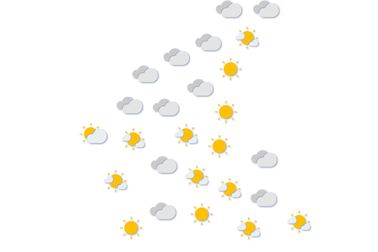 Forecast
