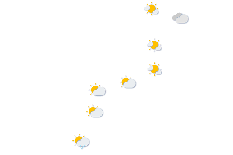 Forecast