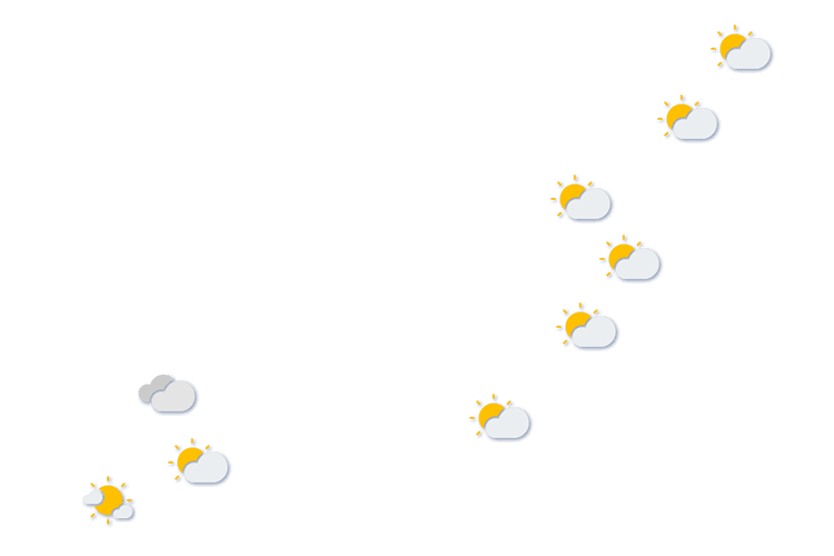 Forecast