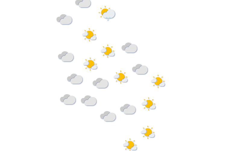 Forecast