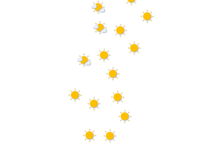 Forecast