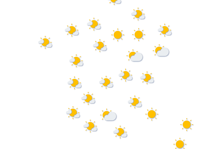 Forecast