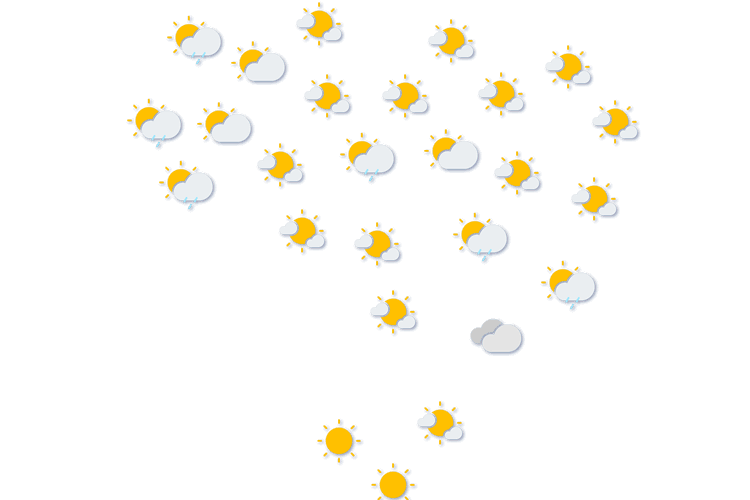 Forecast