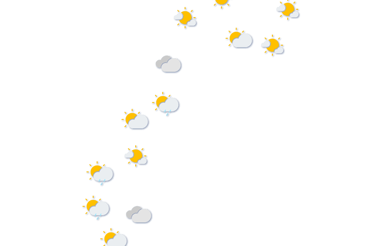Forecast