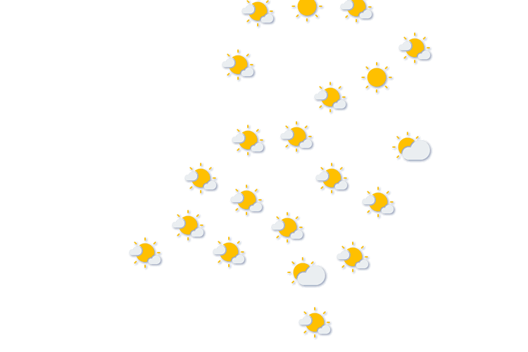 Forecast